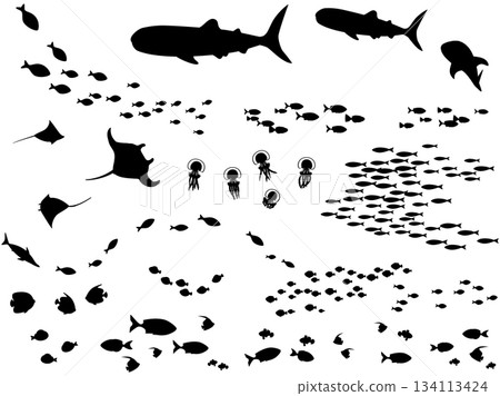 一群魚和水生動物的變形剪影插圖 一群魚和水生動物的變形剪影插圖 134113424