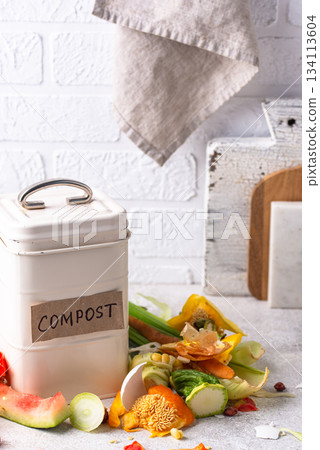 Vegetable waste for making compost. Zero waste concept Vegetable waste for making compost. Zero waste concept 134113604