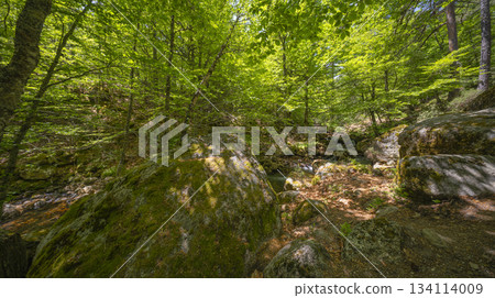 Laguna Negra y Circos Glaciares de Urbion Natural Park, Spain Laguna Negra y Circos Glaciares de Urbion Natural Park, Spain 134114009