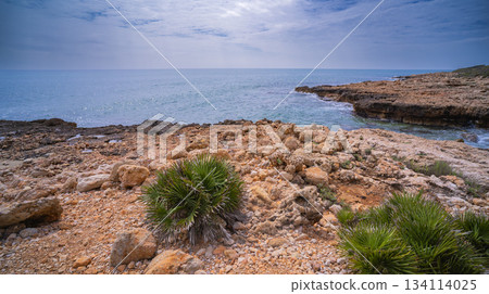 Sierra de Irta Natural Park, Spain 134114025
