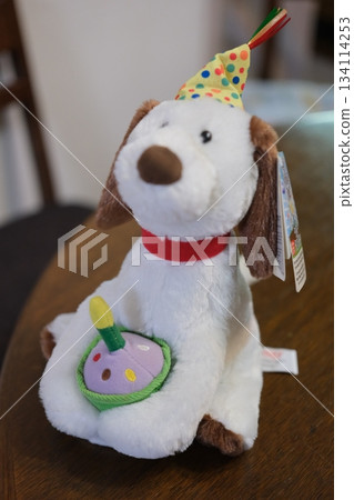 可愛的毛絨小狗,手裡拿著生日蛋糕和派對帽 可愛的毛絨小狗,手裡拿著生日蛋糕和派對帽 134114253