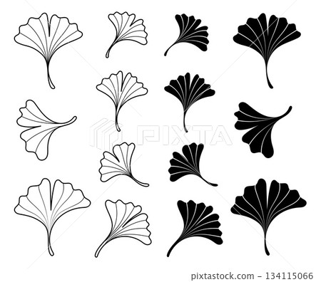 Ginkgo Leaves Line Art and Silhouette Collection, Hand-Drawn Botanical Elements, Vector Ilustration 134115066
