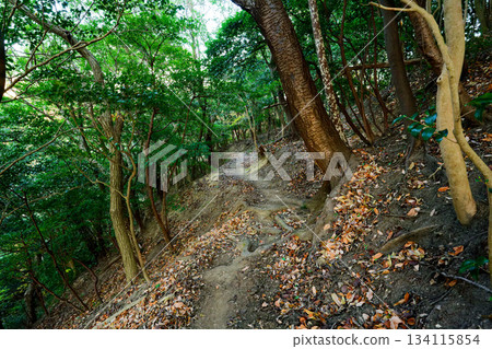 六甲山脈的健行路線 134115854