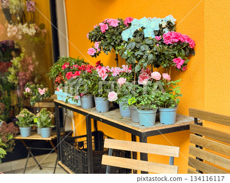 Colorful floral storefront with potted blooms and bright wall background. Street retail atmosphere, vibrant flower selection and warm inviting exterior aesthetic. 134116117
