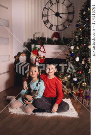 Children celebrating christmas holidays with a cat 134116761