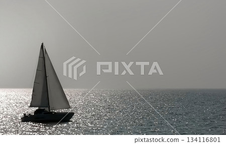 A sailboat gliding through calm ocean waters A sailboat gliding through calm ocean waters 134116801