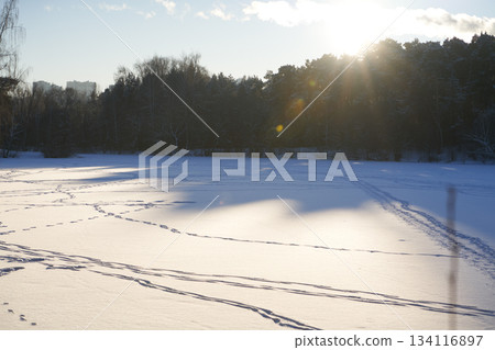 Sunlit pine trees on edge of frozen snow-covered lake in winter forest. Sunlit pine trees on edge of frozen snow-covered lake in winter forest. 134116897