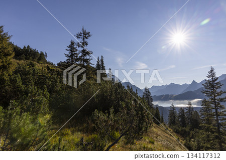 Stausee Kops in Gaschurn, Montafon, Vorarlberg, Austria showcases a landscape with mountains, trees, and sunlight Stausee Kops in Gaschurn, Montafon, Vorarlberg, Austria showcases a landscape with mountains, trees, and sunlight 134117312
