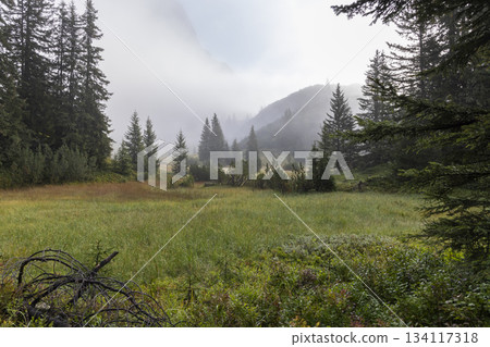 Fog covers the landscape near Wiegensee in Gaschurn, Montafon, Vorarlberg, Austria during a quiet morning in nature Fog covers the landscape near Wiegensee in Gaschurn, Montafon, Vorarlberg, Austria during a quiet morning in nature 134117318
