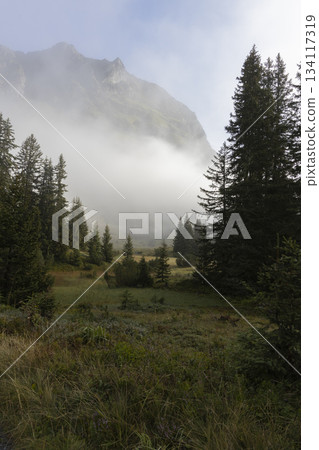 View of fog among trees near Wiegensee in Gaschurn, Montafon, Vorarlberg, Austria during morning hours View of fog among trees near Wiegensee in Gaschurn, Montafon, Vorarlberg, Austria during morning hours 134117319
