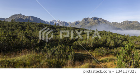 Mountains and greenery near Wiegensee in Gaschurn, Vorarlberg, Austria during daytime hours Mountains and greenery near Wiegensee in Gaschurn, Vorarlberg, Austria during daytime hours 134117325