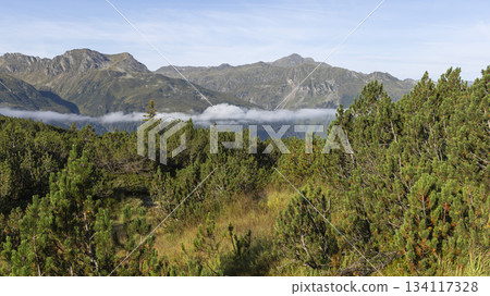 Scenic view from hillside near Wiegensee in Gaschurn, Montafon, Vorarlberg, Austria on a clear day Scenic view from hillside near Wiegensee in Gaschurn, Montafon, Vorarlberg, Austria on a clear day 134117328