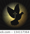 Divine dove of peace and the christian cross with rays 134117364