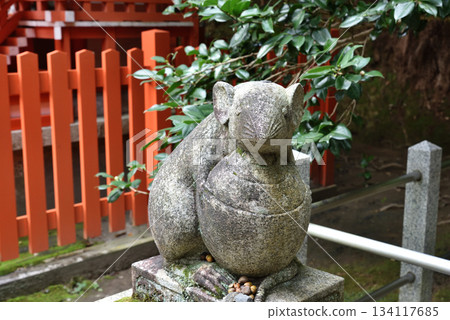 Otoyo Shrine, Koma-nezumi (Sakyo Ward, Kyoto City) 134117685