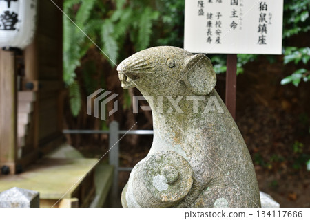 駒根大豐神社（京都市左京區） 134117686