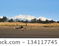 SnowCapped Mountain Range Over Coastal Landscape Scenic Nature Photography SnowCapped Mountain Range Over Coastal Landscape Scenic Nature Photography 134117745