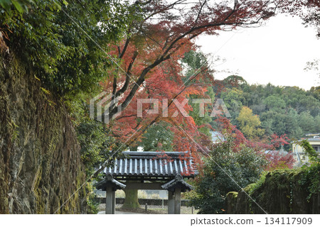 秋日的興聖寺:從琴坂眺望的石門(京都府宇治市) 秋日的興聖寺:從琴坂眺望的石門(京都府宇治市) 134117909