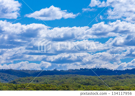 White Cumulus clouds floating over a forest in a valley 134117956