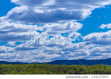 White Cumulus clouds floating over a forest in a valley 134117957