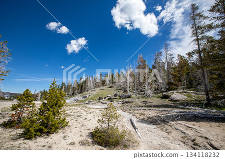 Yellowstone, National Park 134118232