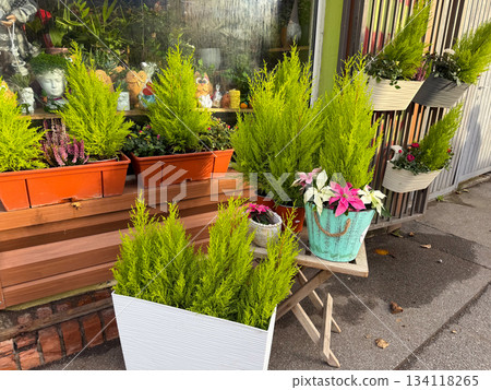Flower shop exterior with planters and greenery. Urban gardening, seasonal decoration, outdoor plant sale and weekend market atmosphere Flower shop exterior with planters and greenery. Urban gardening, seasonal decoration, outdoor plant sale and weekend market atmosphere 134118265
