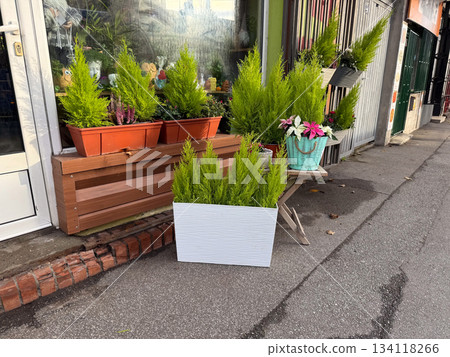Flower shop with outdoor planters. Urban gardening, street decoration, home greenery and cozy neighborhood lifestyle Flower shop with outdoor planters. Urban gardening, street decoration, home greenery and cozy neighborhood lifestyle 134118266
