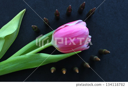 Bullets Lines Around Pink Flower On Black Silk Velvet Upholstery. Conceptual Stock Photo For Military Honor Illustration 134118782