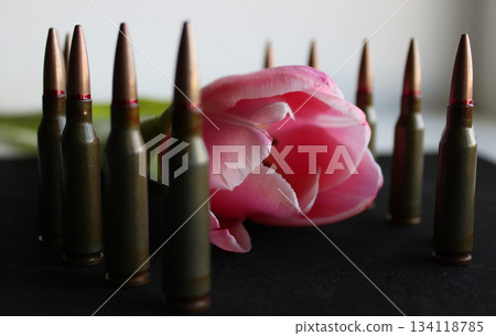 Rows of staying bullets around a blooming flower on black velvet surface. Concept Stock Photo For Honor Guard Illustration 134118785