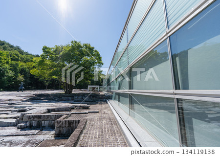 Glass exterior walls and trees at Koriyama City Museum of Art 134119138