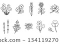 一組描繪春花的單色線條插畫。 134119270