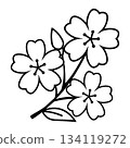 一幅簡單的單色櫻花插圖 134119272