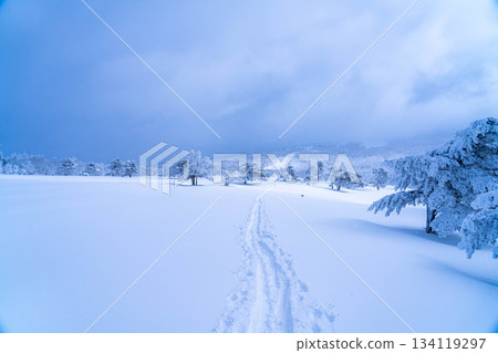 [Winter material] Silvery frost landscape [Nagano Prefecture] 134119297