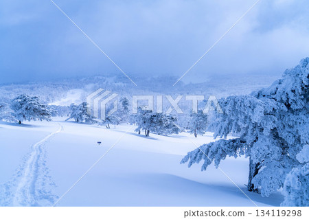 [Winter material] Silvery frost landscape [Nagano Prefecture] 134119298