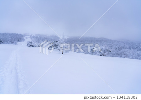 [Winter material] Silvery frost landscape [Nagano Prefecture] 134119302