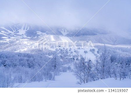 [Winter material] Silvery frost landscape [Nagano Prefecture] 134119307