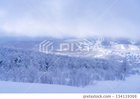 [Winter material] Silvery frost landscape [Nagano Prefecture] 134119308