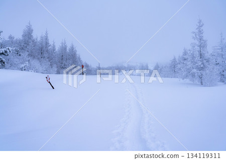 [Winter material] Silvery frost landscape [Nagano Prefecture] 134119311