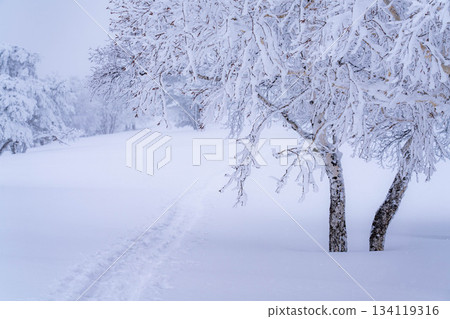 [Winter material] Silvery frost landscape [Nagano Prefecture] 134119316