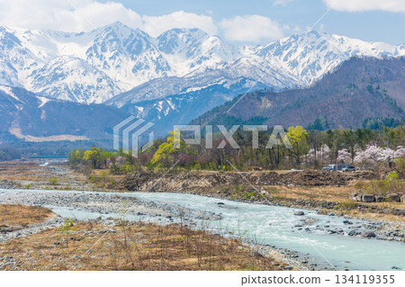 長野縣白馬村的春天：白馬三山和松川河白雪皚皚 134119355