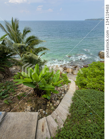 stone staircase leading through tropical trees to the sea and rocky coast, palm trees, surf, azure water stone staircase leading through tropical trees to the sea and rocky coast, palm trees, surf, azure water 134119488