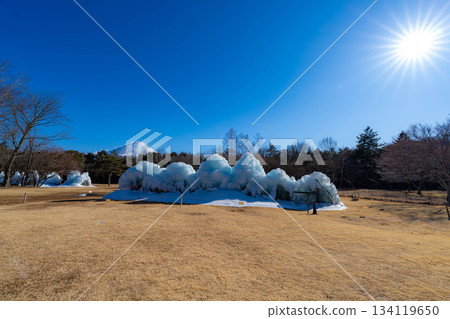 [Mt. Fuji material] Rime trees and scenery at the Lake Saiko Ice Festival [Yamanashi Prefecture] 134119650