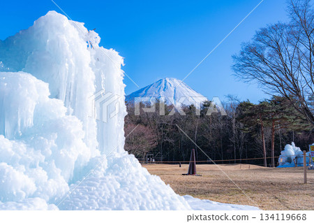 [Mt. Fuji material] Rime trees and scenery at the Lake Saiko Ice Festival [Yamanashi Prefecture] 134119668