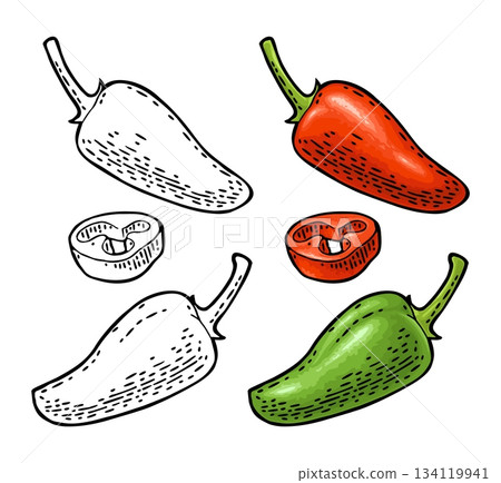 Whole and slice pepper jalapeno. Vector color illustration 134119941