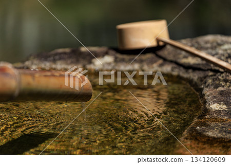 福城寺杜鵑寺的鳥頭池 福城寺杜鵑寺的鳥頭池 134120609