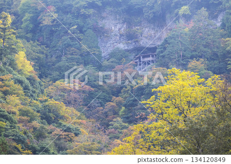 投擲大廳的秋天景色 134120849