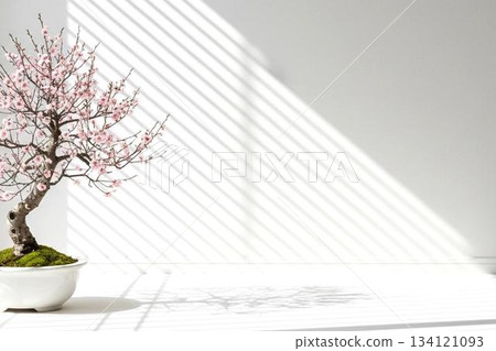 光影交錯中盛開的梅花盆景:優雅的垂枝梅花之美,以及對新年靜謐的期盼。 光影交錯中盛開的梅花盆景:優雅的垂枝梅花之美,以及對新年靜謐的期盼。 134121093