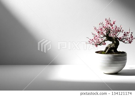 光影交錯中盛開的梅花盆景:優雅的垂枝梅花之美,以及對新年靜謐的期盼。 光影交錯中盛開的梅花盆景:優雅的垂枝梅花之美,以及對新年靜謐的期盼。 134121174