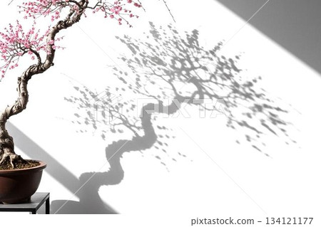 光影交錯中盛開的梅花盆景：優雅的垂枝梅花之美，以及對新年靜謐的期盼。 134121177