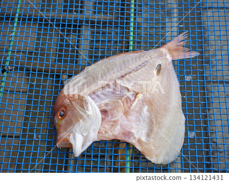 Dried yellowtail lance tuna is placed on a blue net to concentrate its flavor. Dried yellowtail lance tuna is placed on a blue net to concentrate its flavor. 134121431