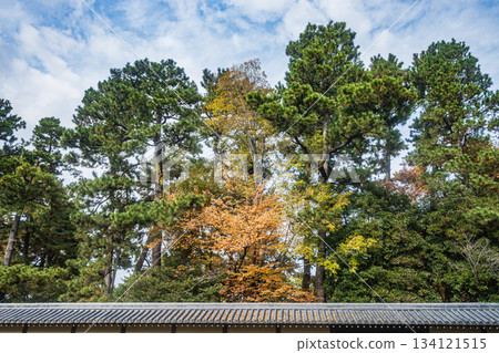 京都御苑，京都市 134121515
